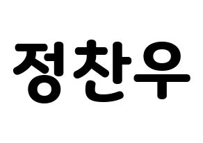 KPOP iKON(아이콘、アイコン) 정찬우 (CHAN) 応援ボード・うちわ　韓国語/ハングル文字型紙 通常