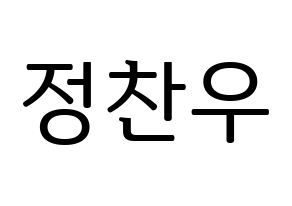 KPOP iKON(아이콘、アイコン) 정찬우 (CHAN) プリント用応援ボード型紙、うちわ型紙　韓国語/ハングル文字型紙 通常