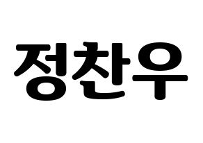 KPOP iKON(아이콘、アイコン) 정찬우 (CHAN) コンサート用　応援ボード・うちわ　韓国語/ハングル文字型紙 通常