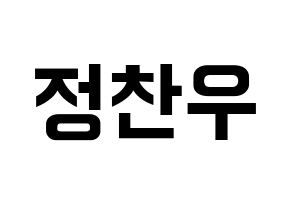 KPOP iKON(아이콘、アイコン) 정찬우 (CHAN) k-pop アイドル名前 ファンサボード 型紙 通常