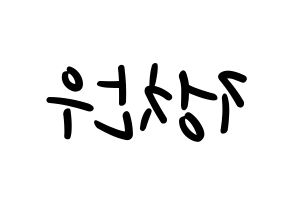 KPOP iKON(아이콘、アイコン) 정찬우 (CHAN) 応援ボード ハングル 型紙  左右反転