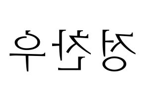 KPOP iKON(아이콘、アイコン) 정찬우 (CHAN) 応援ボード・うちわ　韓国語/ハングル文字型紙 左右反転