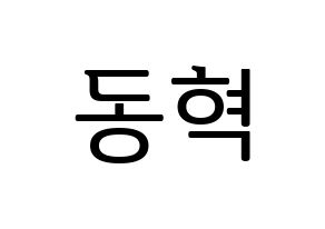 KPOP iKON(아이콘、アイコン) 김동혁 (DK) プリント用応援ボード型紙、うちわ型紙　韓国語/ハングル文字型紙 通常