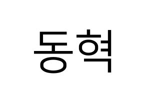 KPOP iKON(아이콘、アイコン) 김동혁 (DK) プリント用応援ボード型紙、うちわ型紙　韓国語/ハングル文字型紙 通常