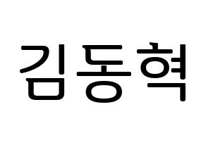 KPOP iKON(아이콘、アイコン) 김동혁 (DK) プリント用応援ボード型紙、うちわ型紙　韓国語/ハングル文字型紙 通常