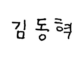 KPOP iKON(아이콘、アイコン) 김동혁 (DK) k-pop アイドル名前 ファンサボード 型紙 通常