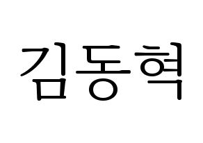 KPOP iKON(아이콘、アイコン) 김동혁 (DK) 応援ボード・うちわ　韓国語/ハングル文字型紙 通常