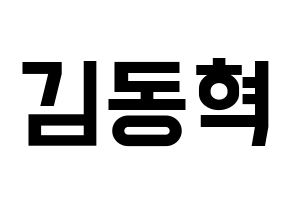 KPOP iKON(아이콘、アイコン) 김동혁 (DK) 名前 応援ボード 作り方 通常