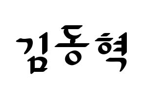 KPOP iKON(아이콘、アイコン) 김동혁 (DK) 応援ボード ハングル 型紙  通常