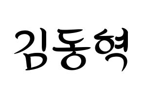 KPOP iKON(아이콘、アイコン) 김동혁 (DK) k-pop 応援ボード メッセージ 型紙 通常