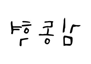 KPOP iKON(아이콘、アイコン) 김동혁 (DK) 応援ボード ハングル 型紙  左右反転