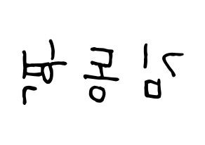 KPOP iKON(아이콘、アイコン) 김동혁 (DK) k-pop 応援ボード メッセージ 型紙 左右反転