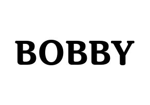 KPOP iKON(아이콘、アイコン) BOBBY (BOBBY) コンサート用　応援ボード・うちわ　韓国語/ハングル文字型紙 通常