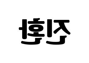 KPOP iKON(아이콘、アイコン) 김진환 (JAY) コンサート用　応援ボード・うちわ　韓国語/ハングル文字型紙 左右反転