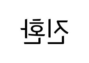 KPOP iKON(아이콘、アイコン) 김진환 (JAY) コンサート用　応援ボード・うちわ　韓国語/ハングル文字型紙 左右反転