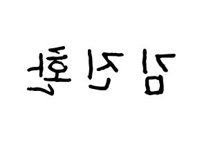 KPOP iKON(아이콘、アイコン) 김진환 (JAY) k-pop アイドル名前 ファンサボード 型紙 左右反転