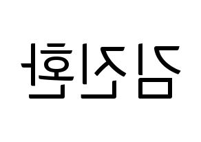 KPOP iKON(아이콘、アイコン) 김진환 (JAY) コンサート用　応援ボード・うちわ　韓国語/ハングル文字型紙 左右反転