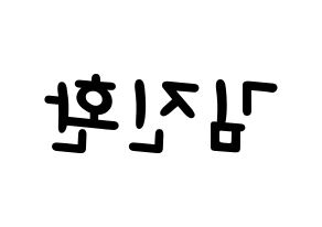 KPOP iKON(아이콘、アイコン) 김진환 (JAY) 名前 応援ボード 作り方 左右反転