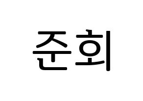 KPOP iKON(아이콘、アイコン) 구준회 (JU-NE) プリント用応援ボード型紙、うちわ型紙　韓国語/ハングル文字型紙 通常