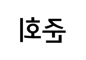 KPOP iKON(아이콘、アイコン) 구준회 (ク・ジュンフェ, JU-NE) 無料サイン会用、イベント会用応援ボード型紙 左右反転