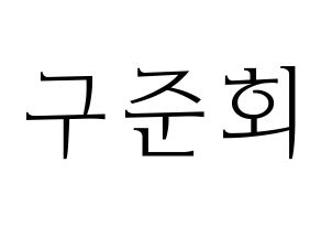 KPOP iKON(아이콘、アイコン) 구준회 (JU-NE) 応援ボード・うちわ　韓国語/ハングル文字型紙 通常