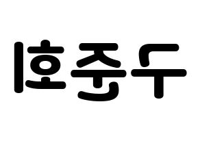 KPOP iKON(아이콘、アイコン) 구준회 (JU-NE) 応援ボード・うちわ　韓国語/ハングル文字型紙 左右反転