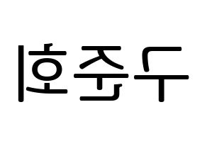 KPOP iKON(아이콘、アイコン) 구준회 (JU-NE) プリント用応援ボード型紙、うちわ型紙　韓国語/ハングル文字型紙 左右反転