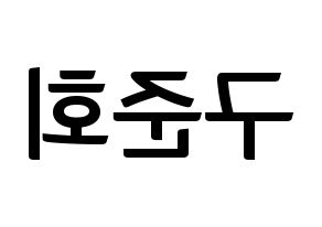 KPOP iKON(아이콘、アイコン) 구준회 (JU-NE) k-pop アイドル名前 ファンサボード 型紙 左右反転