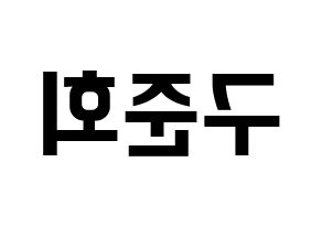 KPOP iKON(아이콘、アイコン) 구준회 (JU-NE) k-pop アイドル名前 ファンサボード 型紙 左右反転