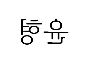 KPOP iKON(아이콘、アイコン) 송윤형 (SONG) 応援ボード・うちわ　韓国語/ハングル文字型紙 左右反転
