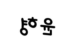 KPOP iKON(아이콘、アイコン) 송윤형 (SONG) 名前 応援ボード 作り方 左右反転