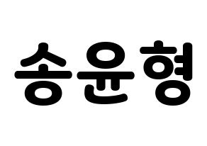 KPOP iKON(아이콘、アイコン) 송윤형 (SONG) 応援ボード・うちわ　韓国語/ハングル文字型紙 通常