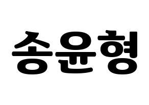KPOP iKON(아이콘、アイコン) 송윤형 (SONG) コンサート用　応援ボード・うちわ　韓国語/ハングル文字型紙 通常