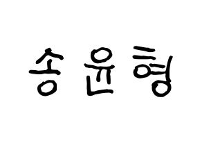 KPOP iKON(아이콘、アイコン) 송윤형 (SONG) k-pop アイドル名前 ファンサボード 型紙 通常