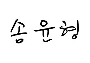 KPOP iKON(아이콘、アイコン) 송윤형 (ソン・ユンヒョン, SONG) k-pop アイドル名前　ボード 言葉 通常