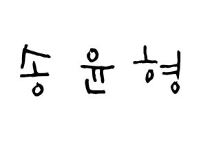 KPOP iKON(아이콘、アイコン) 송윤형 (ソン・ユンヒョン, SONG) 無料サイン会用、イベント会用応援ボード型紙 通常