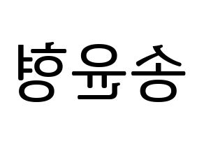 KPOP iKON(아이콘、アイコン) 송윤형 (SONG) プリント用応援ボード型紙、うちわ型紙　韓国語/ハングル文字型紙 左右反転