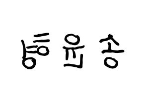 KPOP iKON(아이콘、アイコン) 송윤형 (SONG) k-pop アイドル名前 ファンサボード 型紙 左右反転