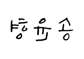 KPOP iKON(아이콘、アイコン) 송윤형 (SONG) 応援ボード ハングル 型紙  左右反転