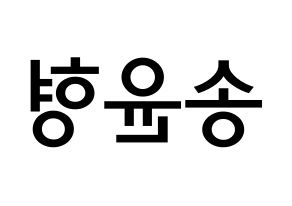 KPOP iKON(아이콘、アイコン) 송윤형 (ソン・ユンヒョン, SONG) 無料サイン会用、イベント会用応援ボード型紙 左右反転