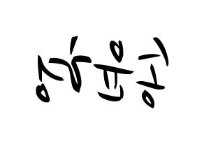 KPOP iKON(아이콘、アイコン) 송윤형 (SONG) k-pop 応援ボード メッセージ 型紙 左右反転