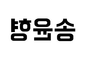 KPOP iKON(아이콘、アイコン) 송윤형 (SONG) k-pop アイドル名前 ファンサボード 型紙 左右反転