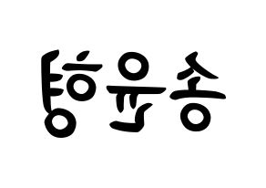 KPOP iKON(아이콘、アイコン) 송윤형 (ソン・ユンヒョン, SONG) k-pop アイドル名前　ボード 言葉 左右反転