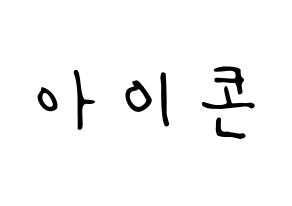 KPOP iKON(아이콘、アイコン) 応援ボード ハングル 型紙  通常