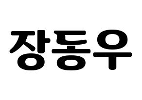 KPOP INFINITE(인피니트、インフィニット) 동우 (ドンウ) コンサート用　応援ボード・うちわ　韓国語/ハングル文字型紙 通常