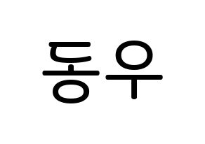 KPOP INFINITE(인피니트、インフィニット) 동우 (チャン・ドンウ, ドンウ) 無料サイン会用、イベント会用応援ボード型紙 通常