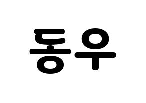 KPOP INFINITE(인피니트、インフィニット) 동우 (ドンウ) 応援ボード・うちわ　韓国語/ハングル文字型紙 通常