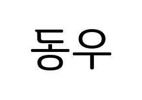 KPOP INFINITE(인피니트、インフィニット) 동우 (ドンウ) プリント用応援ボード型紙、うちわ型紙　韓国語/ハングル文字型紙 通常