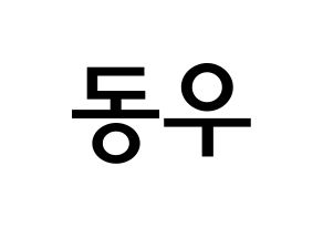 KPOP INFINITE(인피니트、インフィニット) 동우 (チャン・ドンウ, ドンウ) 無料サイン会用、イベント会用応援ボード型紙 通常