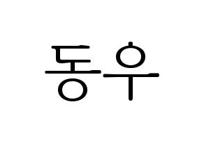 KPOP INFINITE(인피니트、インフィニット) 동우 (ドンウ) 応援ボード・うちわ　韓国語/ハングル文字型紙 通常